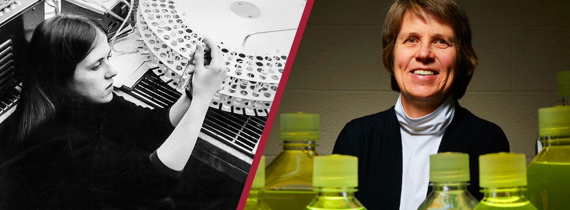 Institute Professor Penny Chisholm profiled by Science Magazine