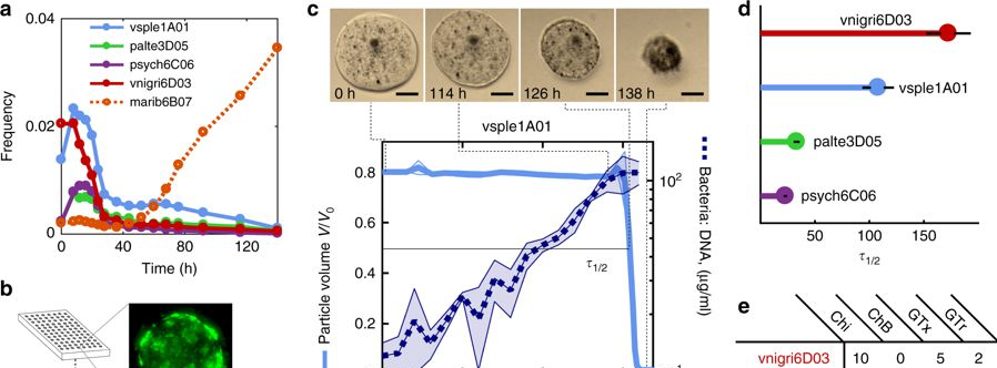 Professor Otto Cordero and lab find bacteria on particle surfaces can impact the rates of carbon turnover in the ocean