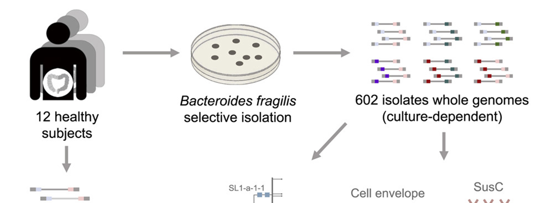 Professor Eric J. Alm, Professor Tami Lieberman and graduate student Shijie Zhao publish research in Cell Host & Microbe