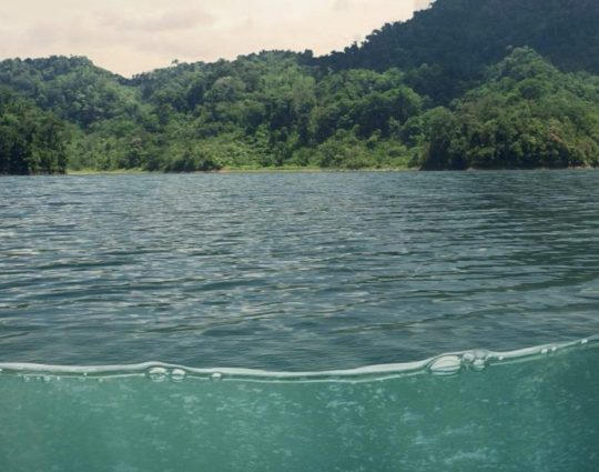 image of a lake with trees in the background