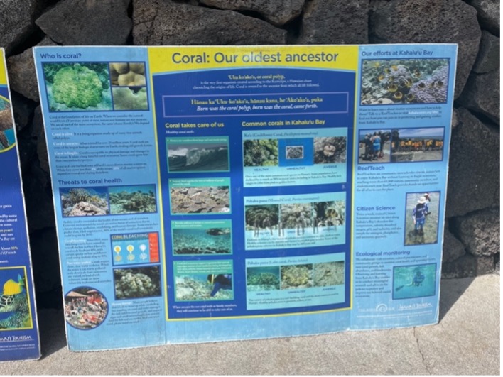 A sign describing the marine ecosystem, including the fish and coral, of Kahalu'u Bay.