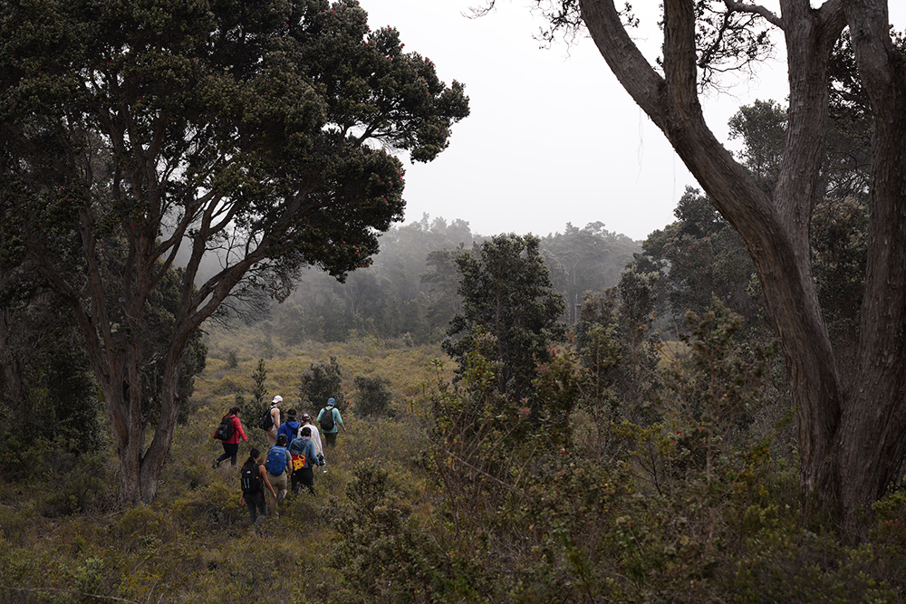 Fieldwork class examines signs of climate change in Hawaii